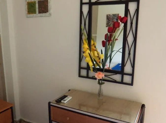 酒店 里亚酒店 *